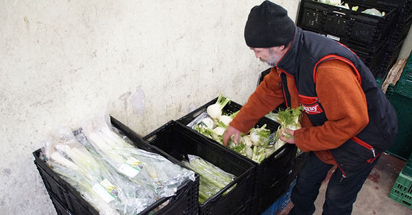 Das Gemüse geht durch die prüfenden Hände der Ehrenamtlichen. - Copyright: Yvonne Nadler Das Gemüse geht durch die prüfenden Hände der Ehrenamtlichen. - © Nadler - Copyright: Yvonne Nadler