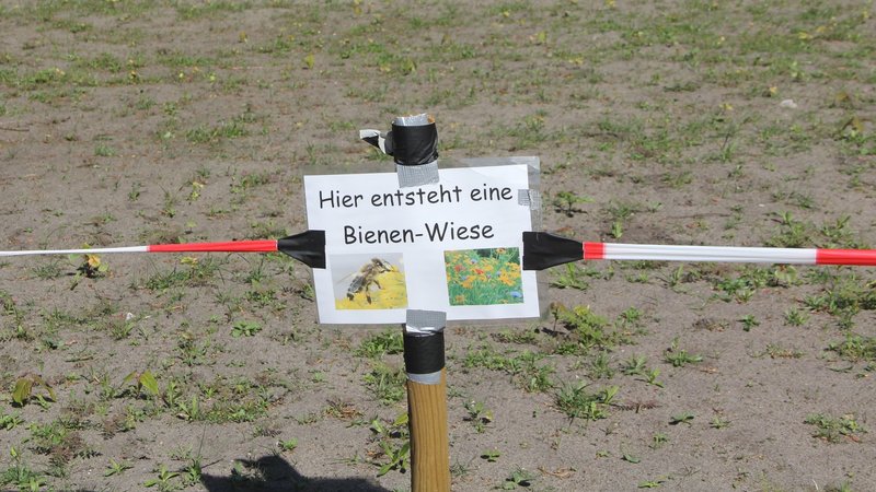 Acker mit Schild, wo draufsteht "Hier entsteht eine neue Bienenwiese" 